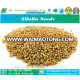 Medicago Sativa /Alfalfa Seed From India