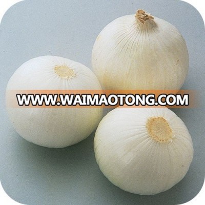 White Onion Seeds