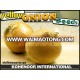 TOP QUALITY YELLOW ONION SEEDS