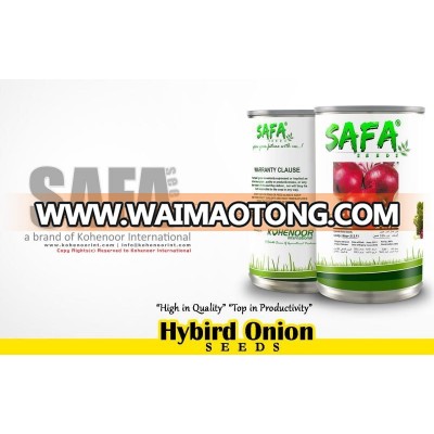 Hybrid Onion | Safa Seeds Brand