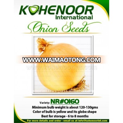 Yellow Onion Seeds | NR#0160