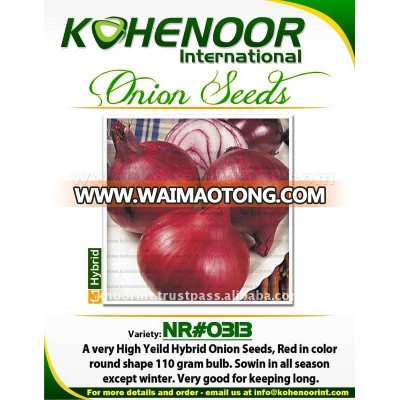 Red Onion Seeds | NR#313