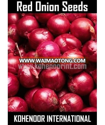 Red Onion Seeds