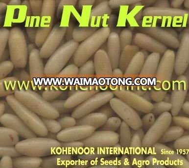 Fine Quality Pine Nuts