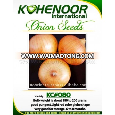 Yellow Onion Seeds | KC#080