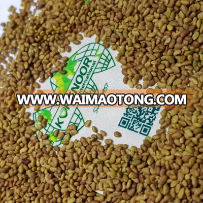 7 YEARS ALFALFA SEEDS